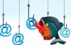 钓鱼邮件如何识别与防范？